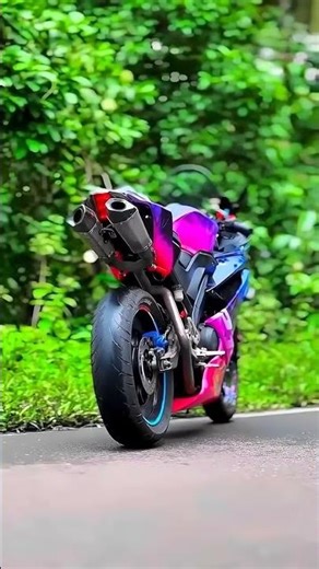 beautiful rider