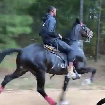 Le cheval le plus rapide du monde