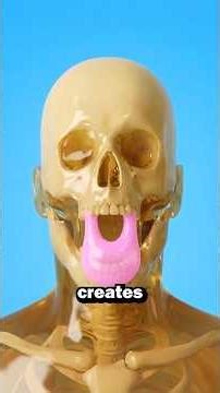 What happens if you eat gum every day for a year? #didyouknow #science