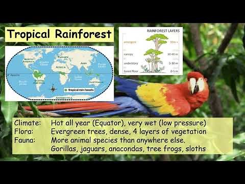 Major biomes of the world