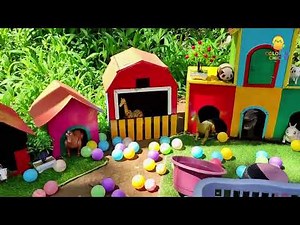 CUTE RAINBOW CHICKS RUNNING AROUND || RAINBOW CHICKS AND BUNNY FRIENDS