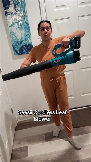 Seesii Cordless Leaf Blower Review: 2-in-1 Power Tool