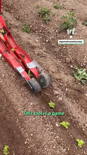 This device is an absolute game-changer for planting crops 🤯 | VT