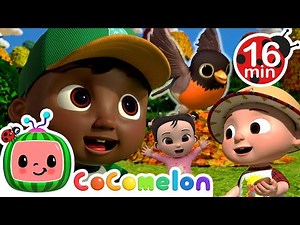 Outdoor Fun with Cody | CoComelon - It's Cody Time | CoComelon Songs for Kids & Nursery Rhymes