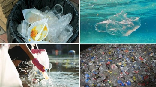 How to prevent plastics pollution