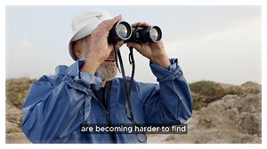 Watch Why Sculpt Nation on Amazon Live