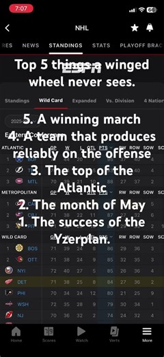 The march red wings 〽️