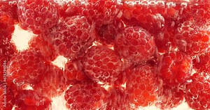 Red raspberry under water in air bubbles. Rubus idaeus. On a pink background. Stock Video