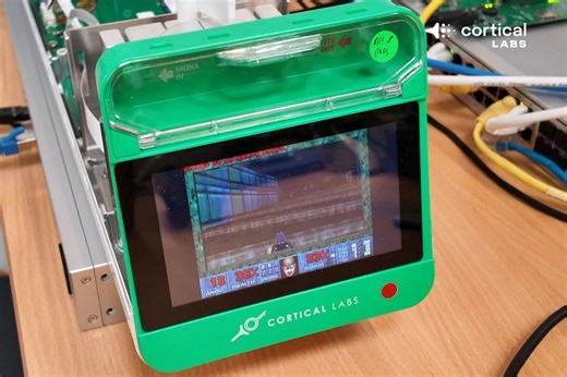 Des neurones humains cultivés en labo apprennent à jouer aux jeux vidéo