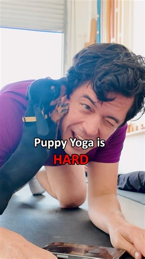 Weiner dog puppies VS yoga 🐕