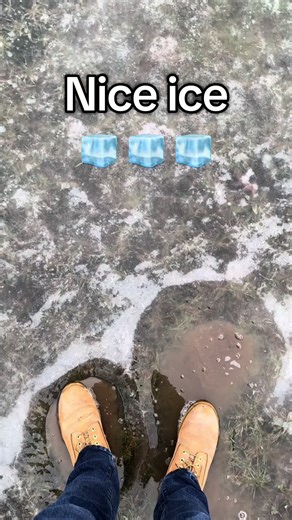 Sounds like biting a crisp apple #ice #sounds #nature #soundeffects #fyp