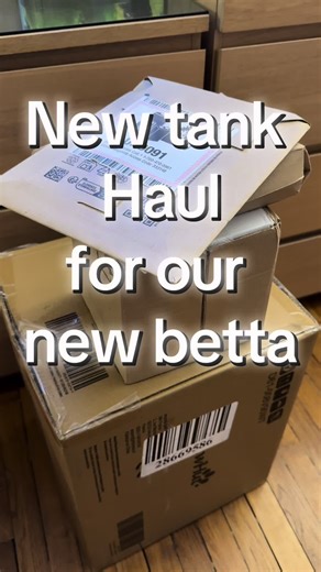 New tank and accessories for our new betta rescue 😍 We got a new 5.5 gallons aquarium, heater, digital thermometer, glass cleaner and automatic feeder for the holidays ! #newtank #aquarium #fishtank #haul #betta