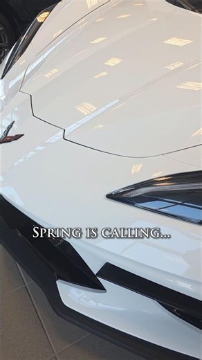 Spring Just Woke Up… So Did This Corvette 🔥