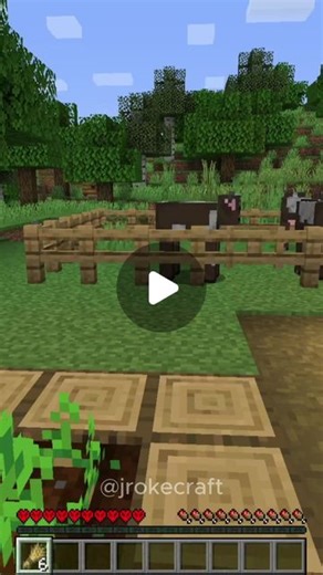 Jrokecraft on Instagram: "I'm confused... #minecraft #memes"