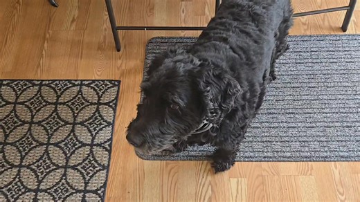 17 reactions | Lol, turn on the volume | David Reading | Facebook