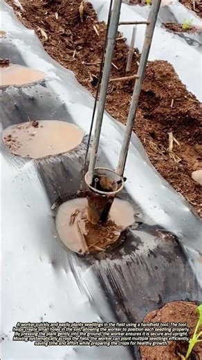 Efficiently Planting Seedlings in the Field Using a Handheld Tool