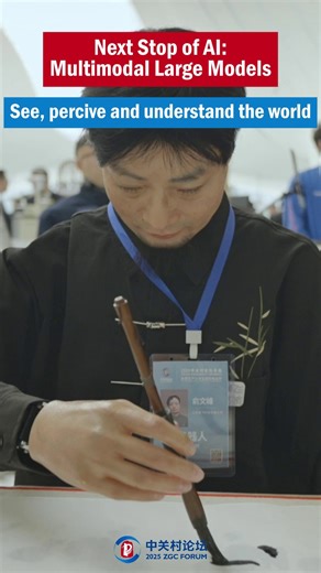 225K views · 108 reactions | At the #2025ZGCForum, Wang Zhongyuan,...