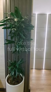 Step inside our office... from anywhere! Take a 360° virtual tour and explore our workspace up close. See where our team plans, designs, and brings every project to life. 👉 Click the link to begin your tour! https://heyor.ca/fheiSZ #AfricanosProperties #VirtualTour #OfficeTour #BehindTheScenes #LarnacaRealEstate | Africanos Property Developers