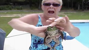 493 reactions · 819 shares | A woman holds a bullfrog in her hands. She pets its head and it croaks every single time. When it croaks, it sounds like it says Mom. The woman filming does not want the frog getting near her because she thinks it sounds weird. The frog them makes a sound that resembles a cat screeching. | America's Funniest Home Videos | Facebook