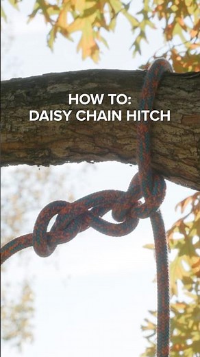 Daisy chain hitch knot tying tutorial #treework #arborist #knots #shorts