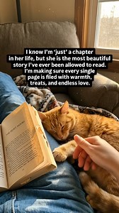 #furbaby #catlove | My Cat Is My Therapy