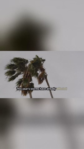Eastern Pacific sets record hurricane season with El Niño