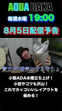 8月5日配信予告！小型水槽を立ち上げる。レイアウトのコツや小技も満載です！ #アクアリウム #水槽部屋 #熱帯魚