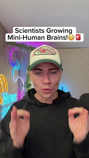 Mini Human Brains: The Rise of Bio Computers