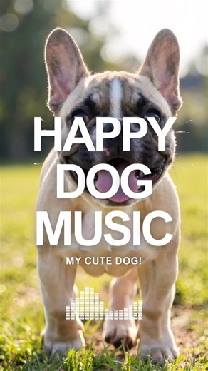Background music for dog daily videos 🐶 A perfect track for everyday moments with your dog. Fits naturally into cute, casual scenes from daily life. Free to use in your TikTok and CapCut creations. Available now on Spotify & Apple Music 😄 Artist: ALOHI STYLE Track: My Cute Dog! #dog #backgroundmusic #usethissound #doglover #fyp