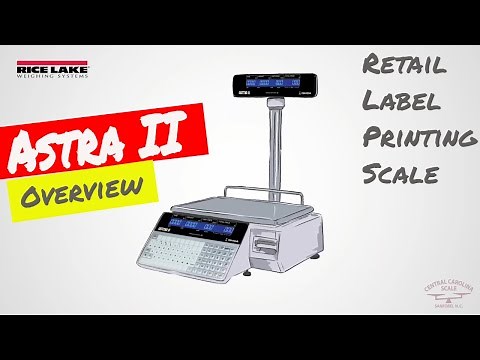 Ishida Astra II Retail Label Printing Scale