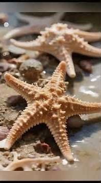 10 animal facts you probably don’t know a single one of. #facts #animals #wildlife #naturefacts