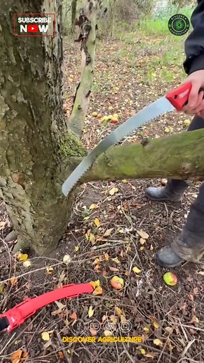 Introducing the amazing hand saw tool that is transforming the way we approach woodworking and crafting! This versatile tool is designed for precision and ease of use, making it an essential addition to any DIY enthusiast’s toolbox. Crafted with high-quality steel blades, it ensures clean cuts through various materials, from softwoods to harder varieties. Its ergonomic handle provides a comfortable grip, reducing hand fatigue during extended use. Whether you're tackling home renovations or small