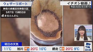 【ウェザーニュースLiVE】ウェザーリポートの質を上げるためには？ - リポートの楽しみ方から採用を狙う送り方まで紹介！