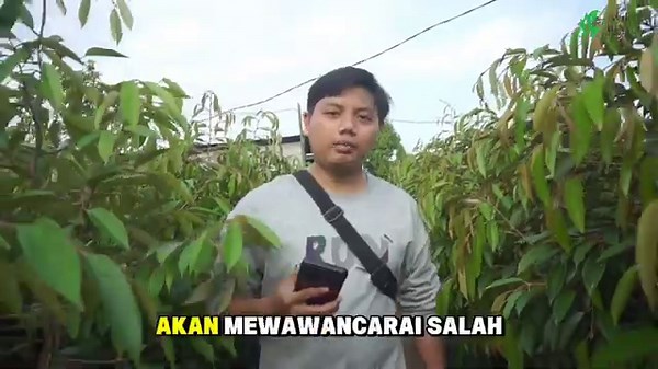 RAHASIA!!! MENANAM POHON DURIAN 2 TAHUN BERBUAH || BERSAMA PEMBIBIT DURIAN TERNAMA DI JAWA TENGAH