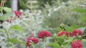 Grow your Business with Us | Bright Script | Facebook