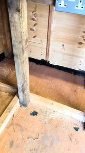 Shed Power & lighting Installation #shedpower #electricalinstallation #electrician #sparkylife #shed #shedlife #shedlight #garagelife #gardenpower #electricalprojects #electricalwires #sparky #outdoorpower #outdoorlighting #outdoorlights | BD Electrical Services | Facebook