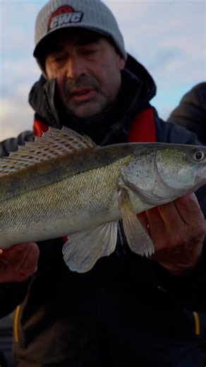 Tonight the new season of Zander Pro kicks off🎣 Keep your fingers crossed and cheer on Team CWC @evert_cwc & @lex_cwc 🤞🏼 #catchwithcare #zanderpro | Catch With Care