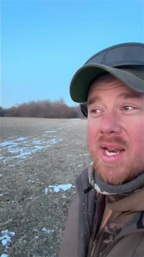Timber stand improvement can open areas for woodcocks to mate.