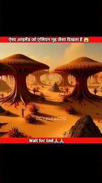 Earth Ka Alien Planet — Socotra Island!#shorts#viral#facts#mysterious