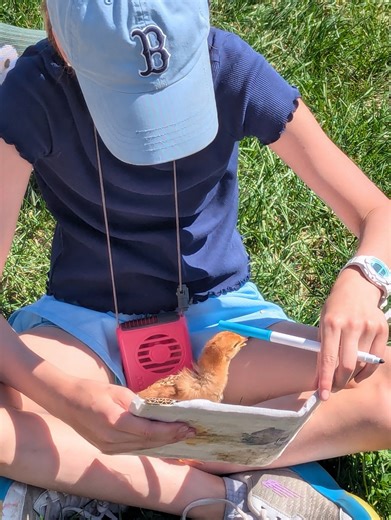 Camp registrations are officially OPEN at Nova Farm School! 🎉🌞🌱 Campers will spend week-long sessions living the farm life — caring for animals, planting and harvesting in the garden, exploring the land, and learning through hands-on experience. Expect muddy boots, big smiles, new friendships, and memories that last long after summer ends. Sign up now through the link on our website 🫛 We can’t wait to welcome a new crew of curious, farm-loving kids 🧡 | Benedikt Dairy