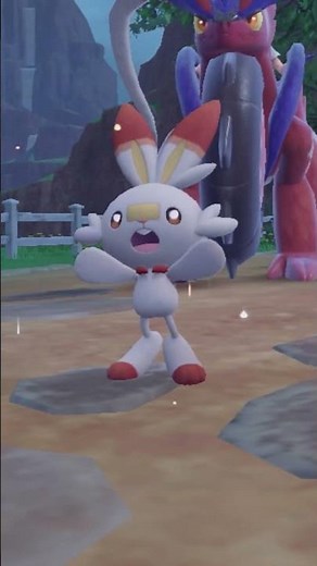 How to find Shiny Scorbunny in Pokemon Scarlet and Violet Part 2 #pokemon #shiny #shorts