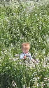 45K views · 1.8K reactions | Just hanging out with a coolest guy  | PewDiePie | Facebook