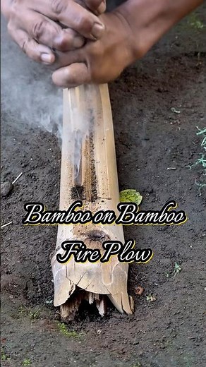 Bamboo on bamboo fire plow #primitivefirelighting #bushcraft #creativesurvival #firemaking