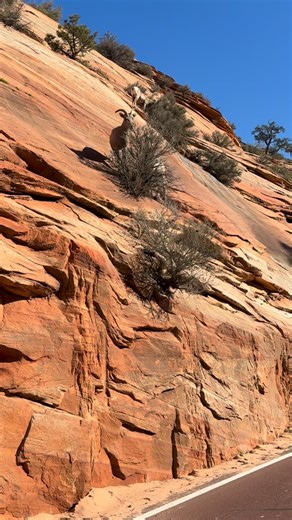 Pablo Marçal on Instagram: "Se liga na estrada que estamos passando de motorhome. Muito louco!"
