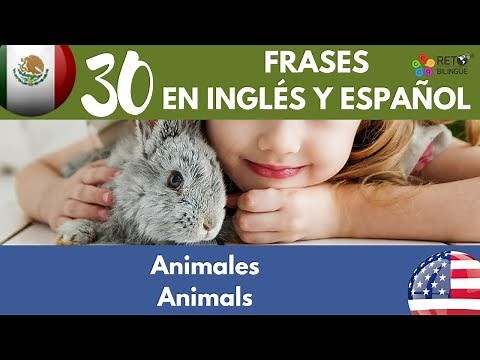 119: Los Animales, Frases en inglés y español