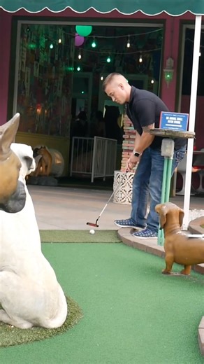 Luckiest Putts You’ll Ever See 😱 #golf #minigolfing #minigolf