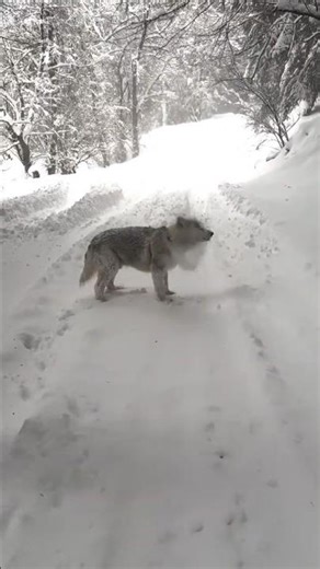 winter is full of fun activities #winter #fun