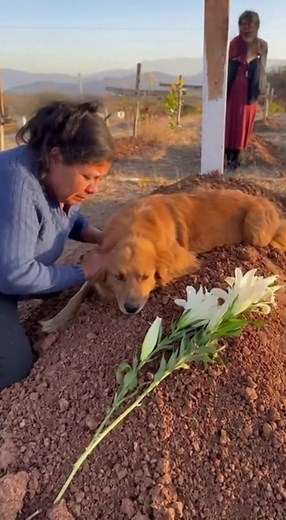 Amigo hasta el final ❤️ | Dragon Fans Ball 2