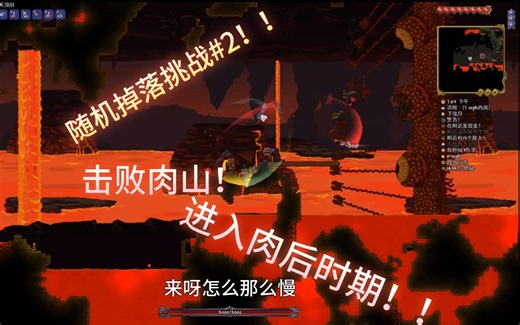 随机掉落物挑战#2！击败肉山进入肉后！！！