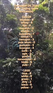 December 24,2025 Wednesday color coding | Taduy Vlog